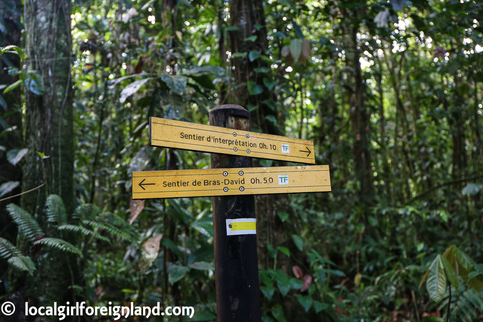 La Maison de la Foret, Guadeloupe – Local Girl Foreign Land