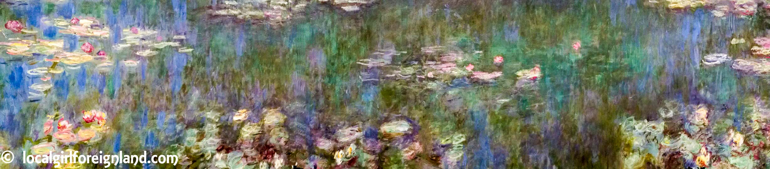musee-de-l-orangerie-paris-claude-monet-water-lilies-3335