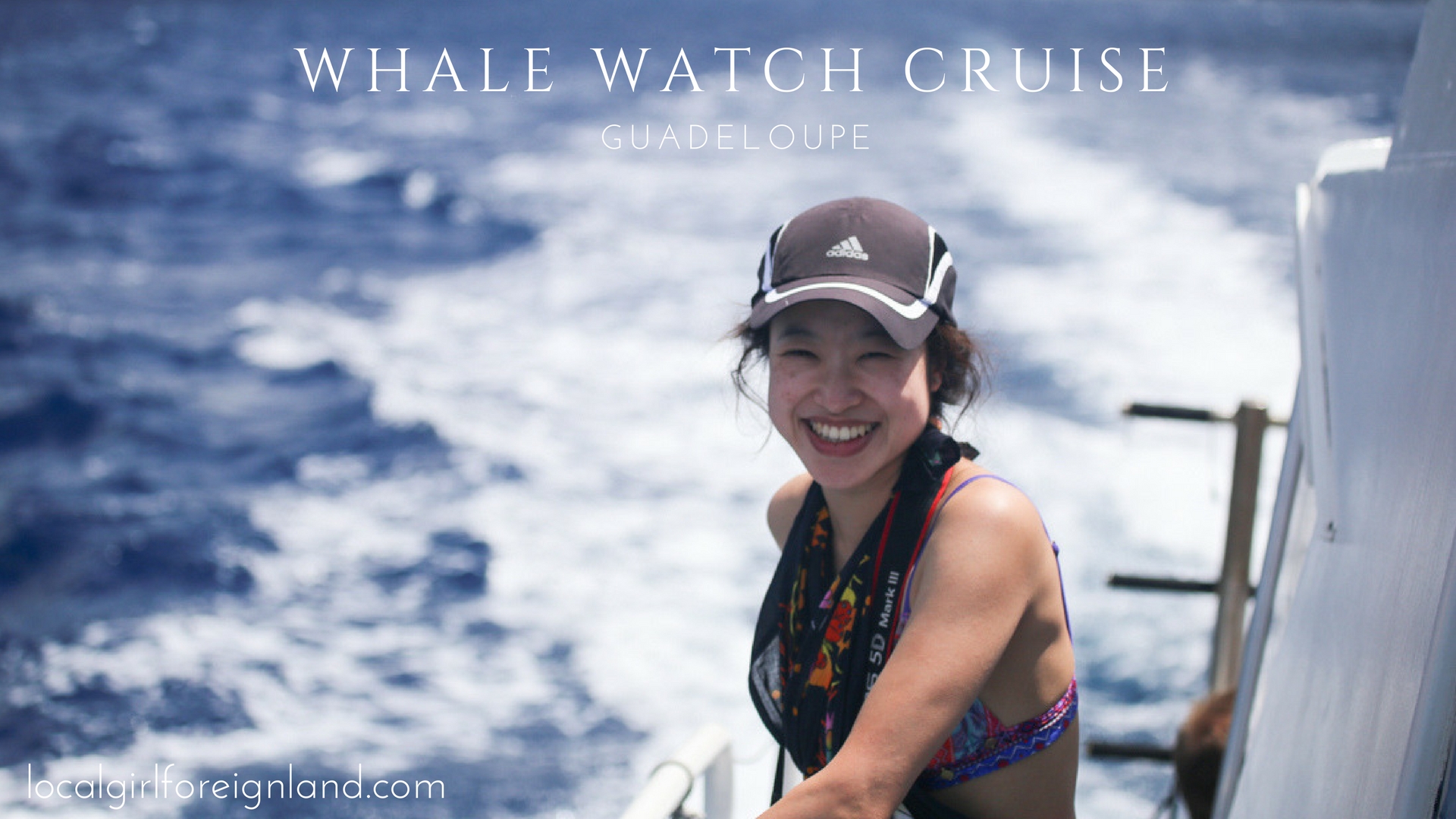 Whale watch cruise, Guadeloupe