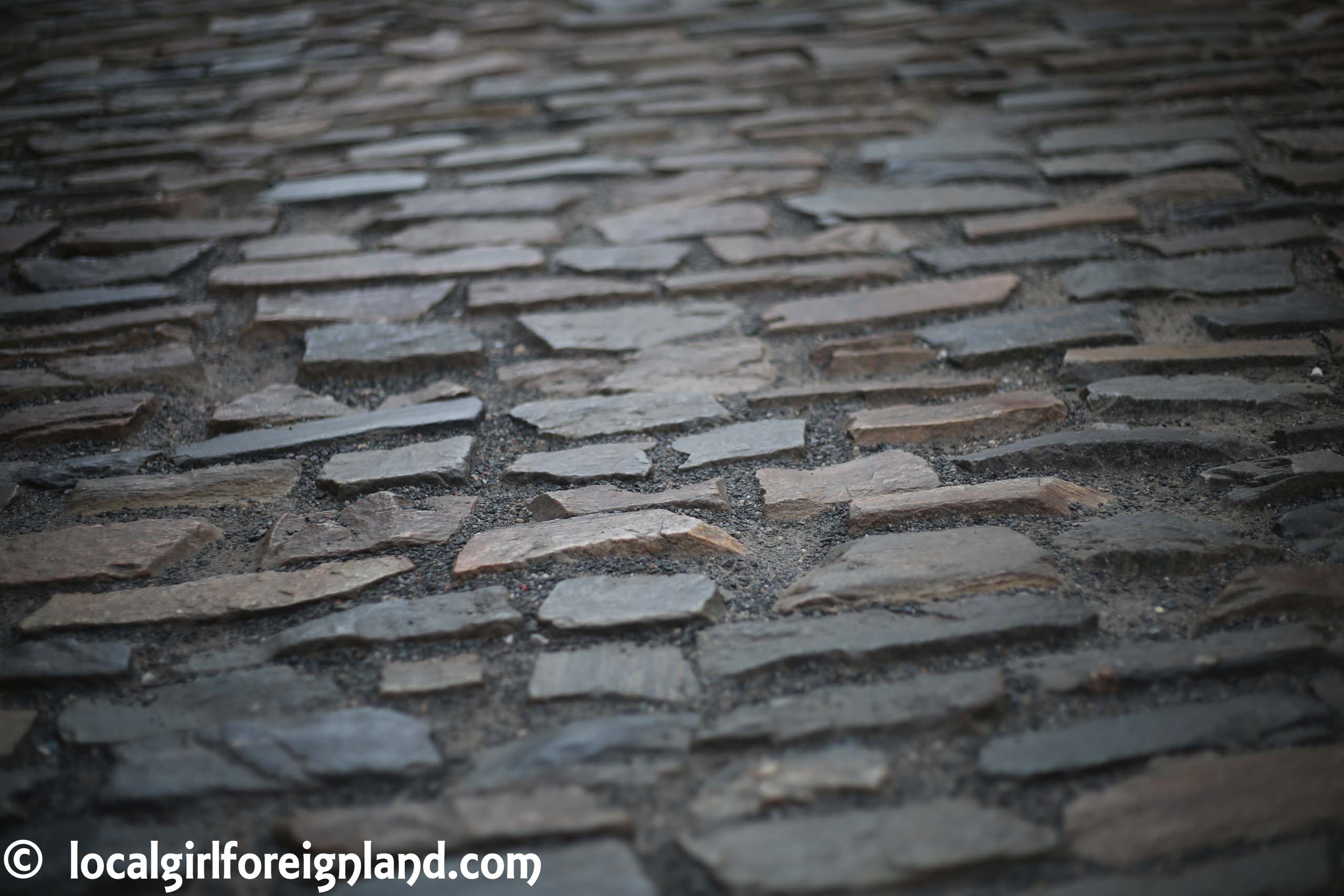 prague-castle-ground-9134.JPG