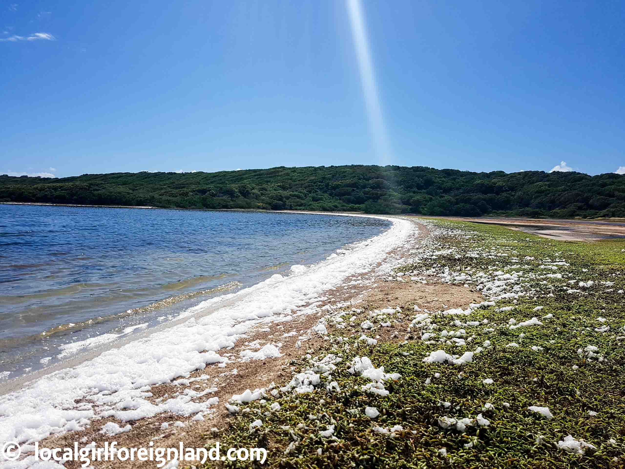 Les Salines, Pointe des chateaux hike, Guadeloupe