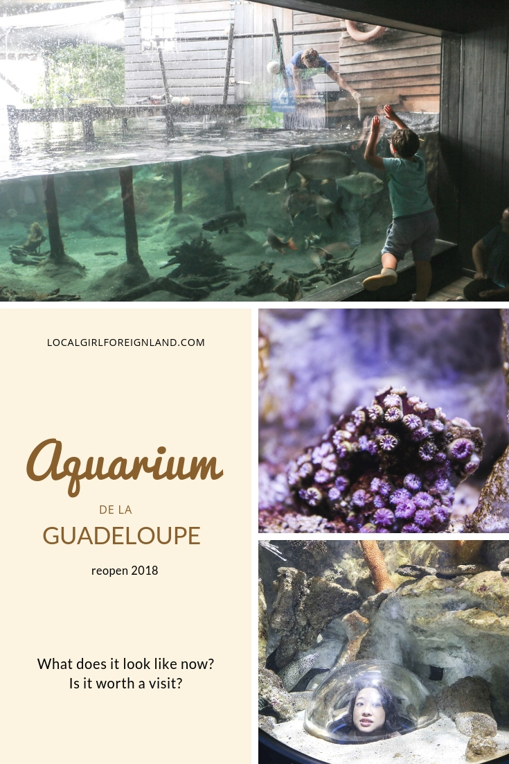 Aquarium-de-la-guadeloupe-reopen-review.jpg