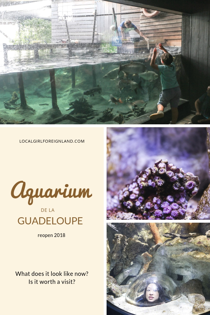 Produit touristique : l'Aquarium de Guadeloupe fait peau neuve