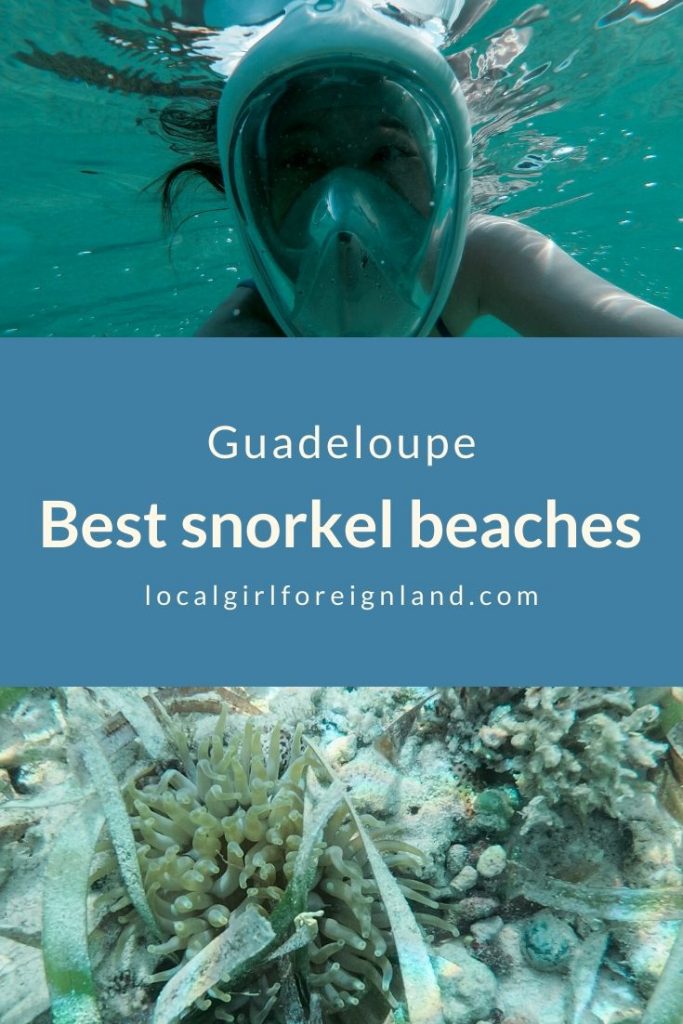 Top Snorkeling and Scuba Diving in La Desirade